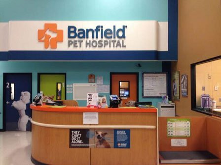 banfield near me