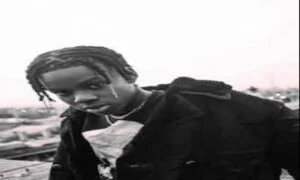 Download Rema Ginja