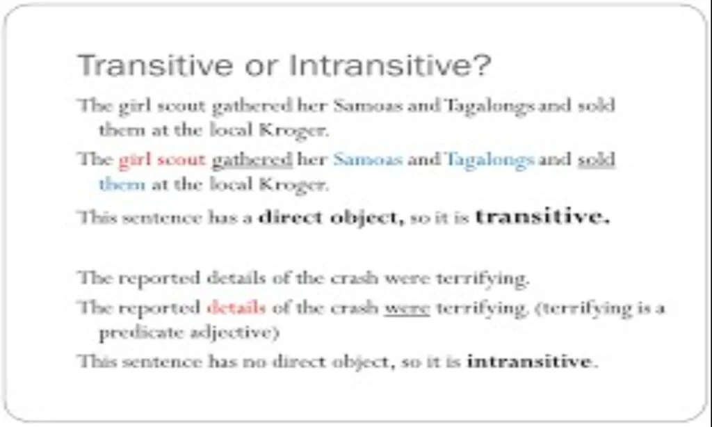 The Bears playing Is Transitive Or Intransitive