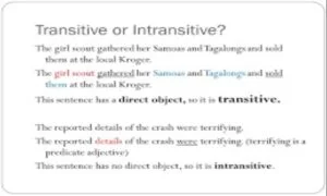 The Bears playing Is Transitive Or Intransitive