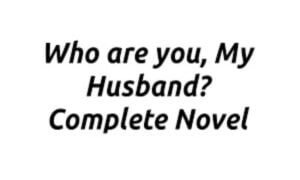Who Are You My Husband Novel Book PDF Full Story