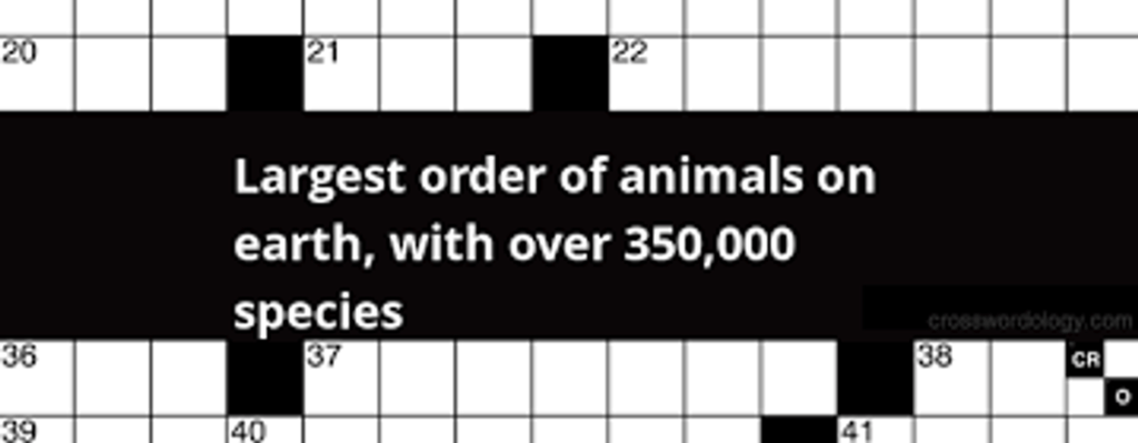Largest Order Of Animals On Earth Night Crossword
