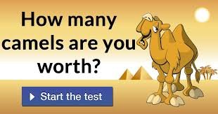 How Many Camels Am I Worth Quiz - Crossword Over Different Social Media