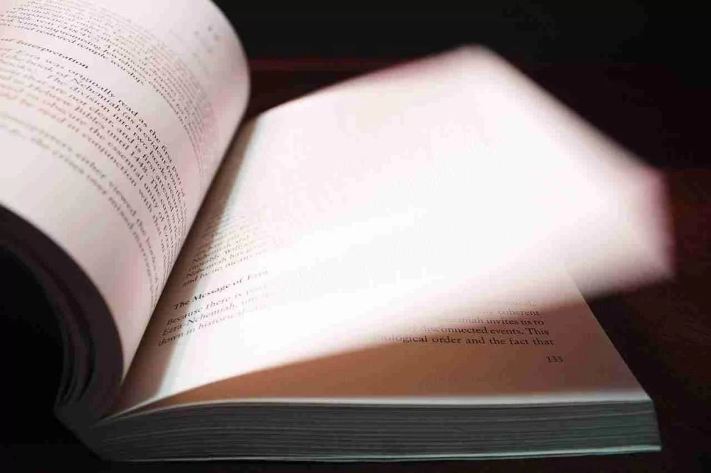 The Convenient Bride Chinese Novel Read Online - PDF Download Free