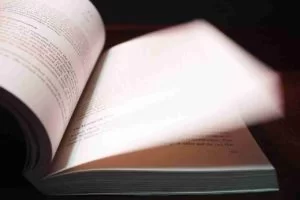 The Convenient Bride Chinese Novel Read Online - PDF Download Free