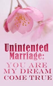 Unintended Marriage You Are My Dream Come True Novel