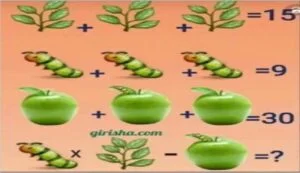 Girisha.com Puzzle Apple with Answers