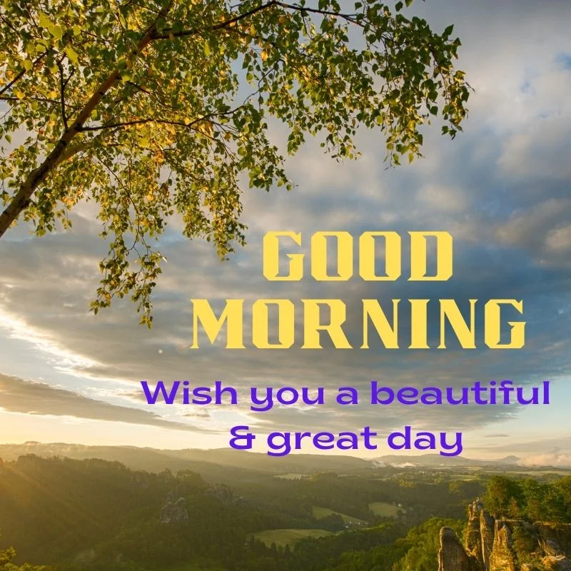 Good Morning Images New 2022