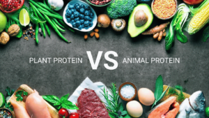Protein vs. Plant-Based Protein