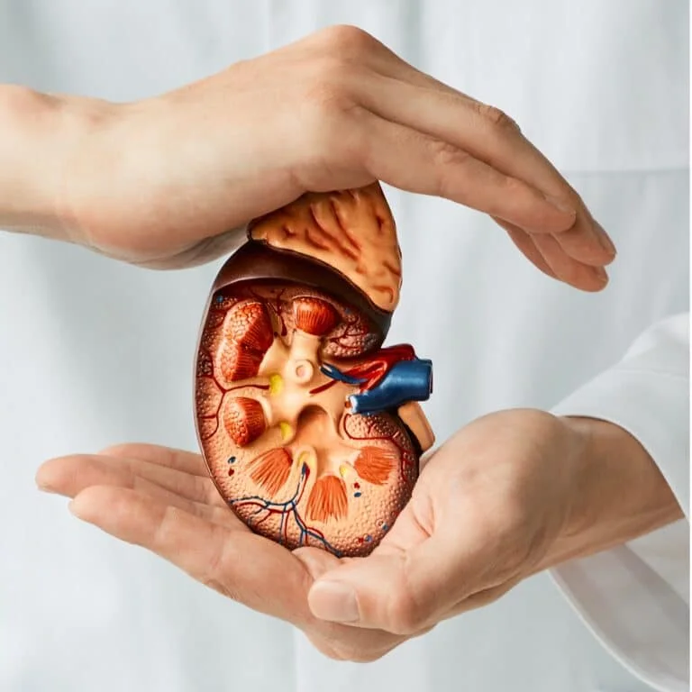 A Mother’s Kidney And A Daughter’s