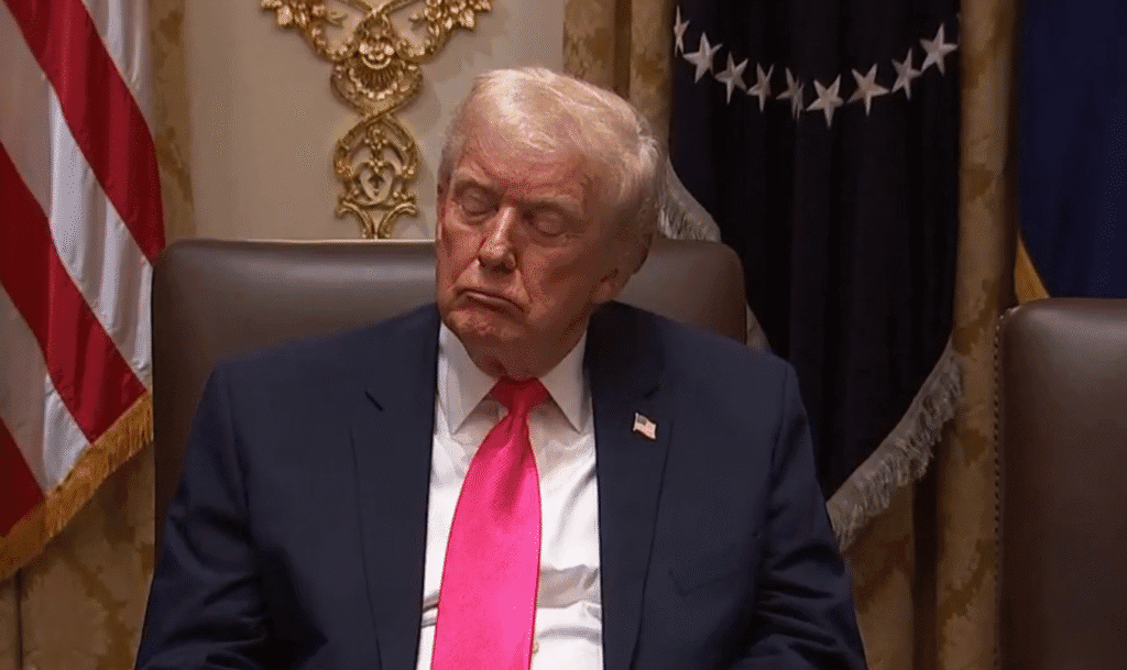 Shock Footage: Trump’s Eyes Slam Shut as He Falls Asleep During Cabinet Briefing