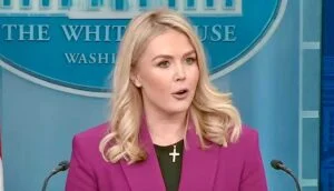 Dem Strategist Blasts Karoline Leavitt’s ICE Defense as MAGA Fear Campaign Ahead of Midterms