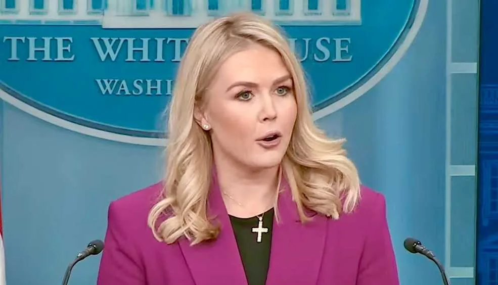 Dem Strategist Blasts Karoline Leavitt’s ICE Defense as MAGA Fear Campaign Ahead of Midterms