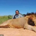 Millionaire U.S. Big-Game Hunter, 75, Trampled to Death by Five Elephants During African Trophy Hunt