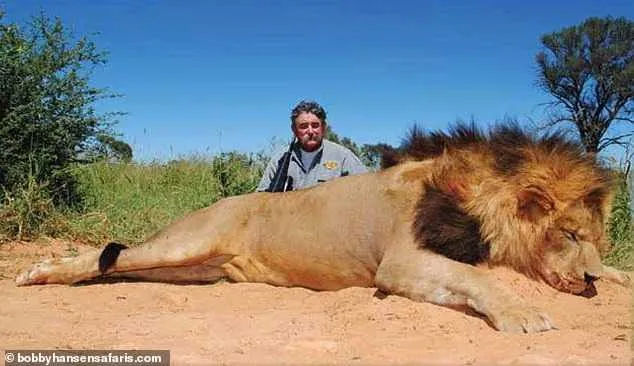 Millionaire U.S. Big-Game Hunter, 75, Trampled to Death by Five Elephants During African Trophy Hunt
